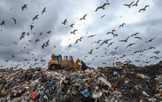 La ONU llama a una «guerra contra los residuos» en el Día de Cero Desechos