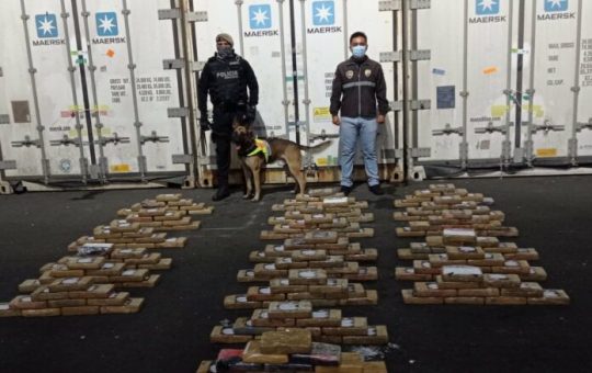 Incautados en Machala casi 200 kilos de cocaína dentro de cajas de banano