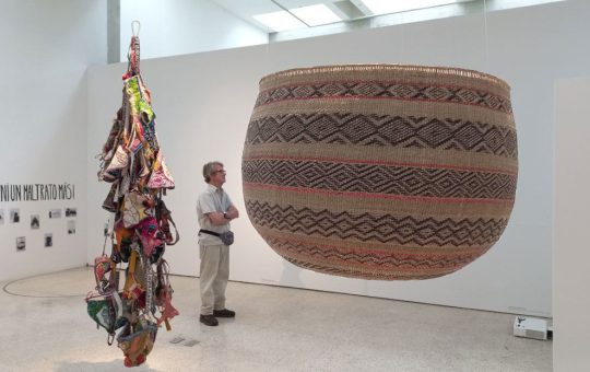 Tejer día y noche: con una cesta ye’kuana ganó un concurso de arte la líder indígena venezolana