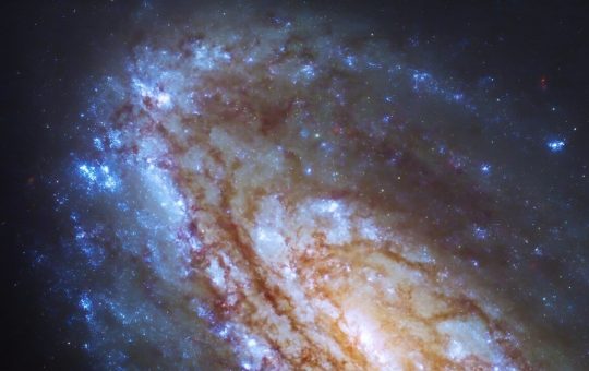 A 55 millones de años luz de la Tierra fue captada una maravillosa galaxia espiral intermedia