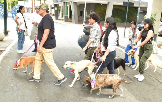 Estas son las actividades ‘perrunas’ del fin de semana en Guayaquil