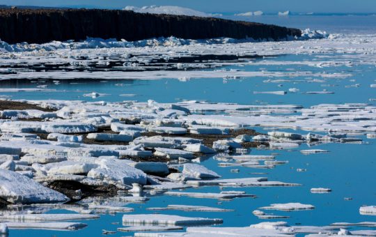 El hielo marino desaparecerá a partir de 2030 ¿Existe peligro en el Ártico?