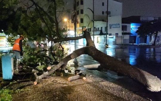 Alerta del Inamhi: Guayaquil soporta lluvia por casi 10 horas
