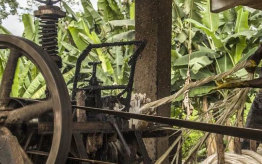 Ecuador debe garantizar reparaciones a trabajadores de plantaciones tratados como esclavos