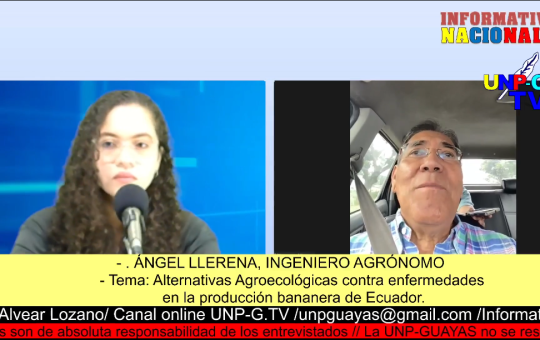 Informativo Nacional: ÁNGEL LLERENA, Alternativas Agroecológicas contra enfermedades en la producción bananera de Ecuador