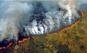 Incendios en la Amazonia devastan territorios indígenas y áreas protegidas: una crisis en cifras