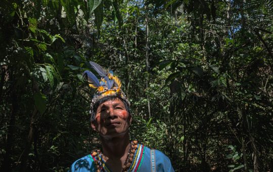 Ecuador se abre a los mercados de carbono