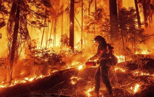 Devastador incendio en California: heridos, viviendas destruidas y evacuados