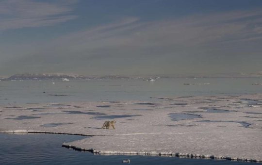 2027: Primer día sin hielo en el Ártico