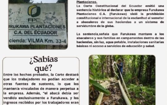 Corte Constitucional de Ecuador dictaminó que existió esclavitud moderna en las haciendas de Furukawa Plantaciones