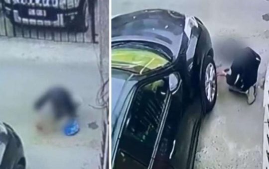 Indignación en Chile por niño en condiciones de esclavitud