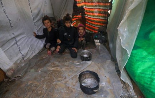 Hambruna en Gaza: ¿continuaremos mirando mientras Gaza muere de hambre?