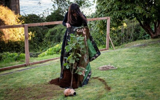 Chile: Obra de artista trans obtiene reconocimiento en el Premio Municipal Arte Joven 2024-25 categoría Arte Público