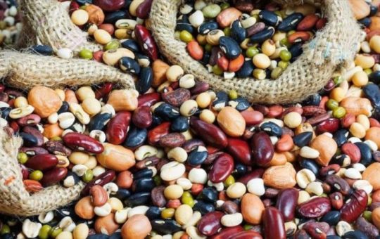 Una taza de frijoles al día produce efectos milagrosos en la salud