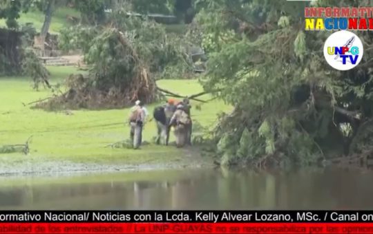 Informativo Nacional: Las fuertes lluvias dejaron a 442 personas sin hogar en el Oriente ecuatoriano.