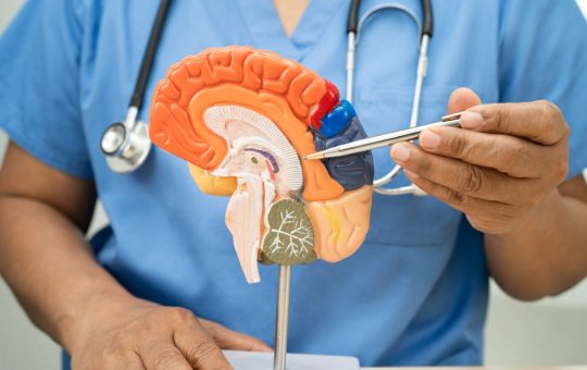 Omni Hospital promueve conciencia sobre la salud cerebral y la prevención del ICTUS con enfoque preventivo, multidisciplinario y humano.