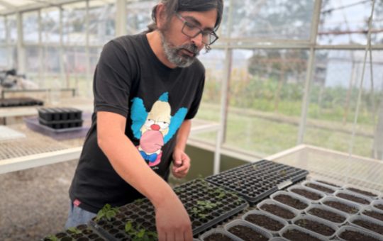 Conservan semillas ante la extinción masiva de especies nativas por la acción humana