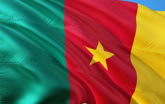 Camerún: protestas en Duala tras la reelección de Paul Biya para un octavo mandato en Camerún