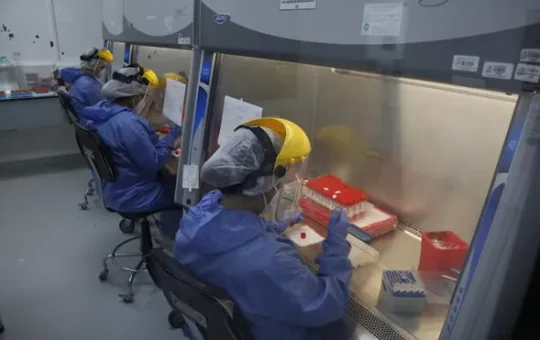 Wolbachia: la bacteria que Perú usará en mosquitos para combatir el dengue genera debate