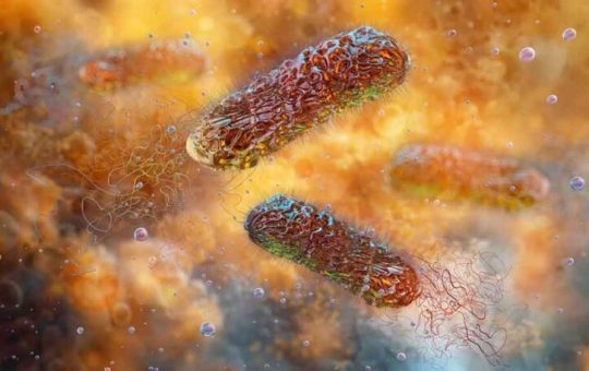 Hallan antibiótico capaz de eliminar superbacterias