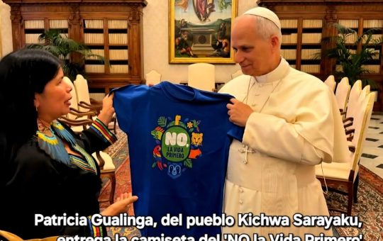 “ ¡ NO !  LA  VIDA  PRIMERO ”, Pedro Pierre