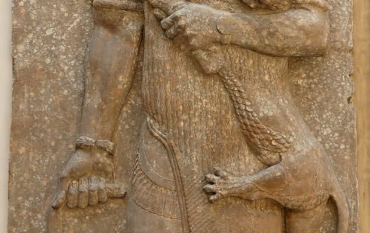 Inmunoterapia contra el envejecimiento: ¿Estamos cerca de romper el ciclo vital?