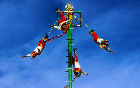 Lo orgánico y lo manufacturado