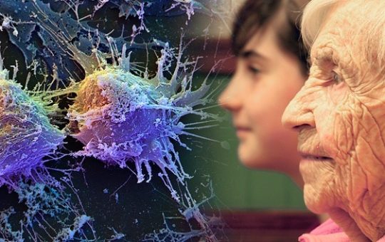 Científicos podrían curar el envejecimiento en el futuro