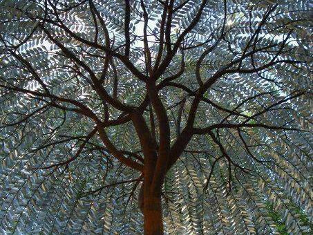 Burbuja de Humanismo