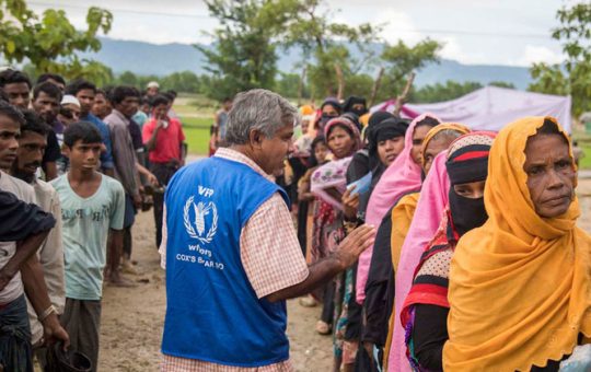 El genocidio de los rohingya ante la Corte Internacional de Justicia: un caso histórico