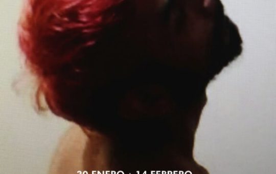 Exposición «Ejercicios para el fin del mundo», de Carlos del Carmen, en Galería Catastrophe de Santiago de Chile