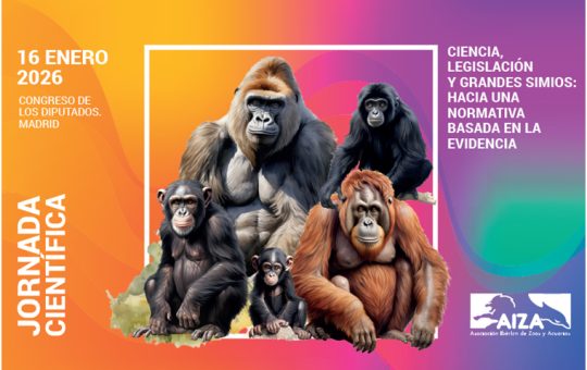 Grandes simios, ciencia y ética