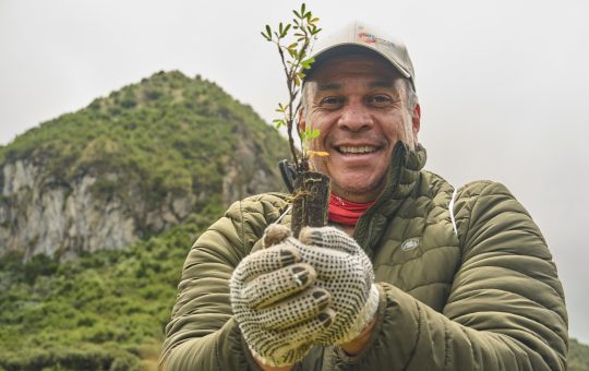 Corporación Favorita superará los 275.000 árboles sembrados para 2028