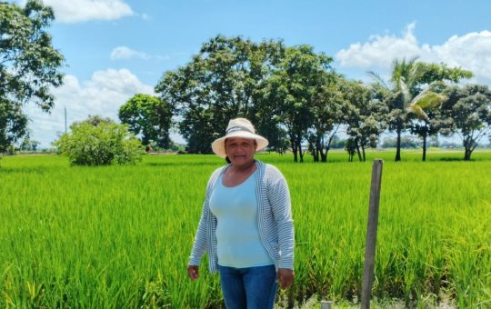 Más de 2 millones de mujeres impulsan el agro ecuatoriano: el liderazgo femenino que transforma la agricultura del país
