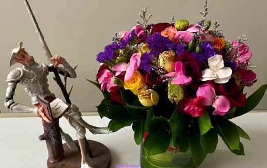 En el día Internacional del Libro y del idioma, un recuerdo quijotesco