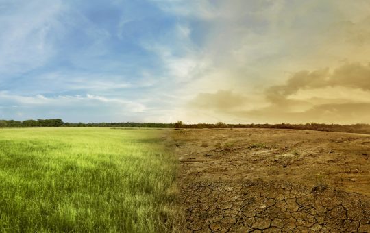La agricultura ecuatoriana frente al clima extremo: innovación, agua y sostenibilidad marcan el camino