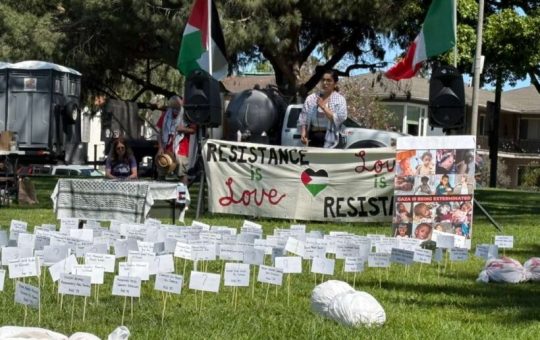 Reflexiones y perspectivas después del «Día Sin Reyes» en Estados Unidos