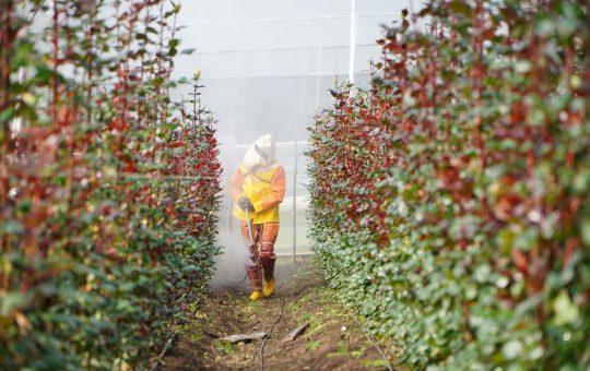 Proteger al agricultor: una urgencia que se siente en la piel del campo ecuatoriano