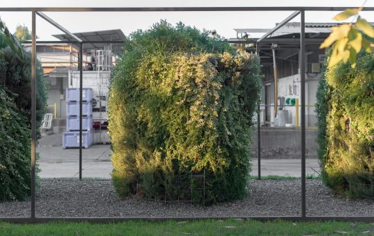 Biofiltración basada en microorganismos y vegetación transforman la calefacción a leña en combustión limpia