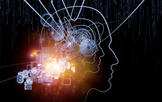 Si la conciencia es fundamental: un diálogo sobre neurociencia, intencionalidad y lo que significa ser humano