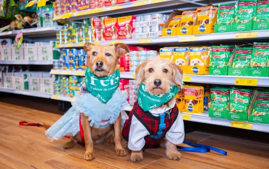 MaxiPets presenta Rescue Cup 2026: el fútbol se convierte en una herramienta de transformación para el rescate animal en Ecuador