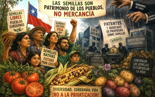 Una tarea pendiente: reconocer las Semillas de Dominio Público