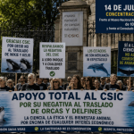 Concentración frente al Museo de Ciencias y Consulado de francés