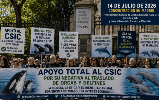 Concentración frente al Museo de Ciencias y Consulado de francés