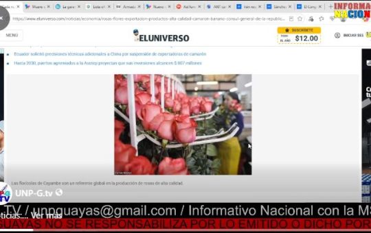 Informativo Nacional / Cada rosa del volcán Cayambe se vende en China a 100 yuanes, que son casi $15.