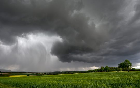 La prevención empieza antes de las lluvias: claves para proteger los cultivos frente a El Niño