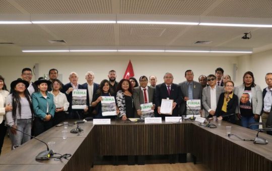 (Perú) Debate sobre Política de Seguridad: ¿Cambio de autoridad o cambio de marco legal?