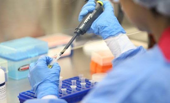 Dengue en Perú: Wolbachia, NAMRU y las preguntas que el Estado aún no responde