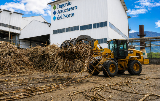 En Imbabura, la caña encuentra nuevas formas de generar valor
